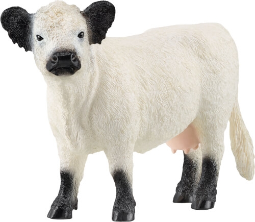 schleich® Farm World 13960 Galloway Kuh