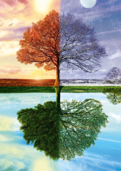 Schmidt 58223 Der Jahreszeiten-Baum