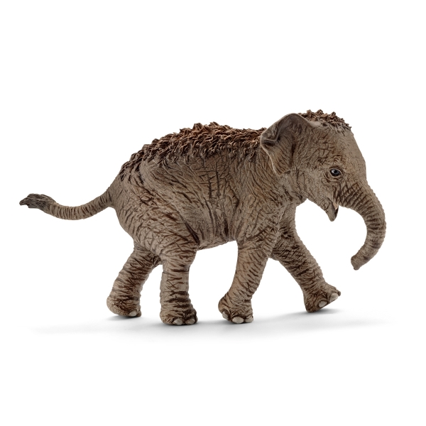 Schleich 14755 Asiatisches Elefantenbaby