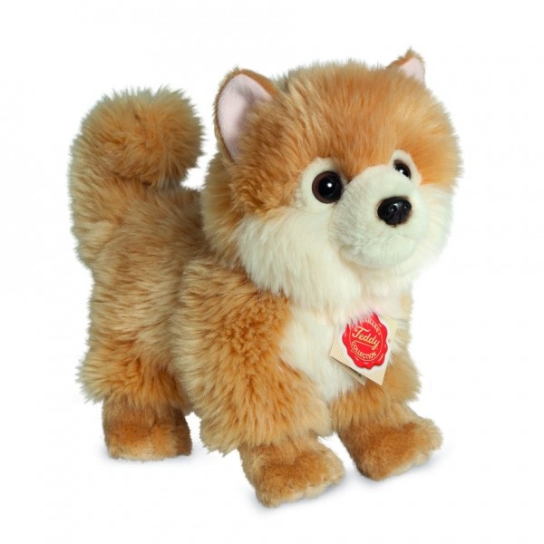 Hermann Teddy 91922 Zwergspitz 22 cm