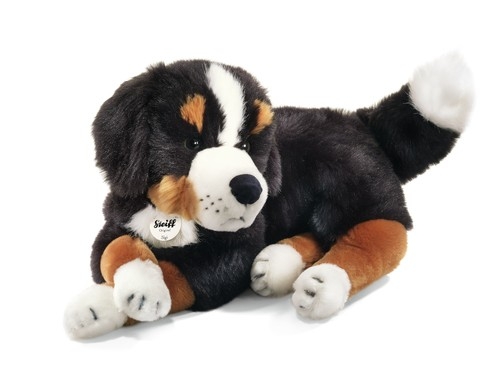 Steiff 079528 Sigi Berner Sennenhund 45 lie