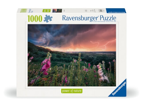 Ravensburger 12000793 Puzzle Ein Sturm zieht auf 1000 Teile