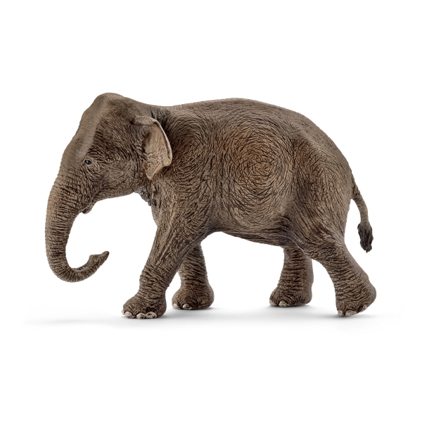 Schleich 14753 Asiatische Elefantenkuh