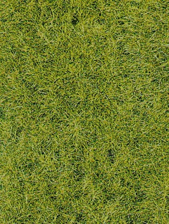 Heki 3369 Grasfaser Wildgras dunkelgrün, 75 g, 5-6 mm