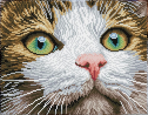 Pracht Creatives Hobby DD6-029 DIAMOND DOTZ Katzenschönheit 27,7x35,5 cm