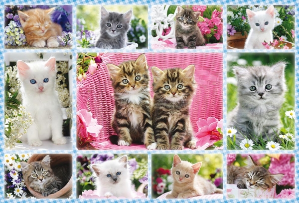 Schmidt 56135 Katzenbabys