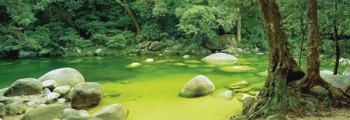 Schmidt Spiele 59286 Puzzle Panoramapuzzle Mark Grey Mossman Gorge 1000 Teile