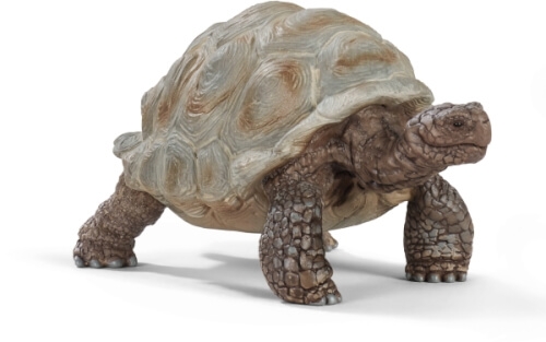 Schleich Wild Life 14824 Riesenschildkröte