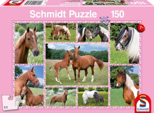 Schmidt Puzzle 56269 Pferdeträume, 150 Teile, ab 7 Jahre