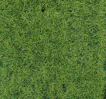 Heki 1871 Wildgrasmatte Waldboden, 40x24 cm, 2 Stück