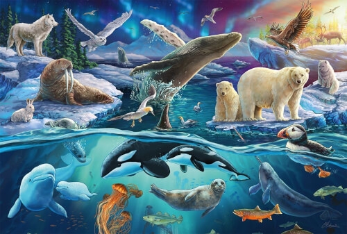 Schmidt Spiele 56484 Tiere in der Arktis, 150 Teile